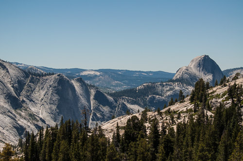 DSC_7331.jpg DSC_7331.jpg