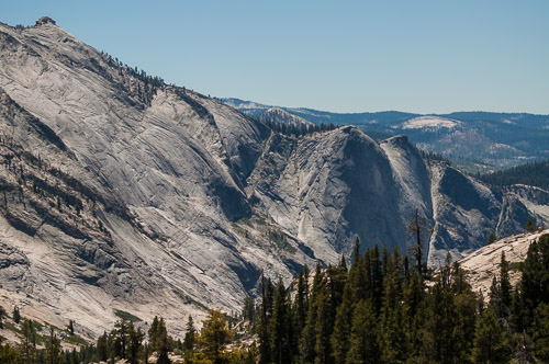 DSC_7332.jpg DSC_7332.jpg