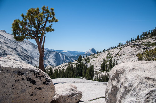 DSC_7335-Edit.jpg DSC_7335-Edit.jpg