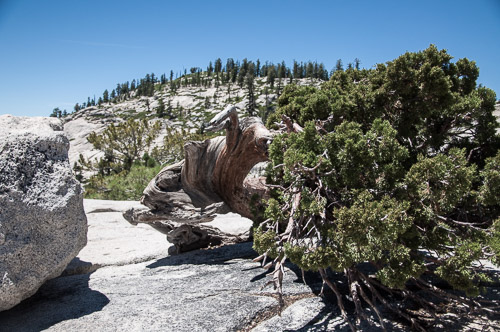 DSC_7338.jpg DSC_7338.jpg