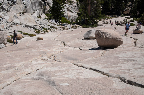 DSC_7339.jpg DSC_7339.jpg