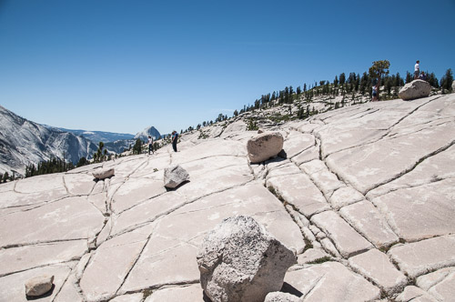 DSC_7345.jpg DSC_7345.jpg