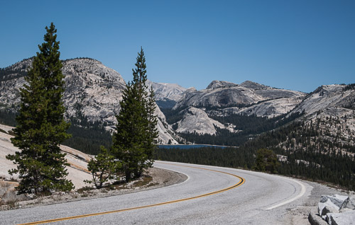 DSC_7346.jpg DSC_7346.jpg