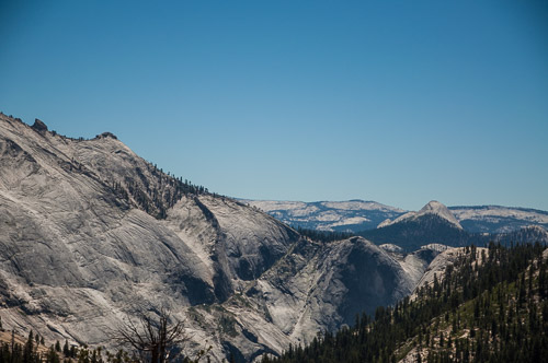 DSC_7349.jpg DSC_7349.jpg