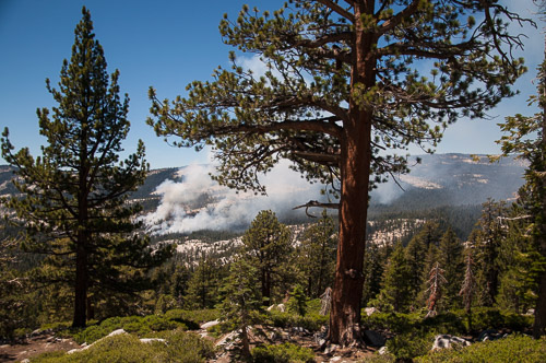 DSC_7350.jpg DSC_7350.jpg