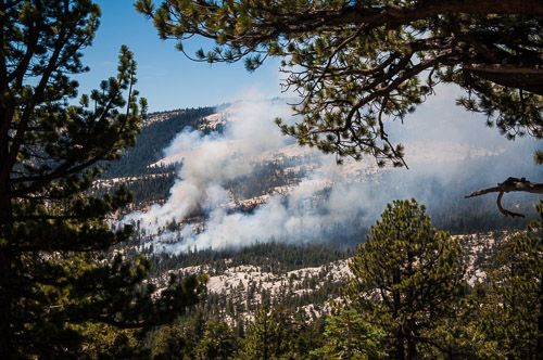 DSC_7351.jpg DSC_7351.jpg