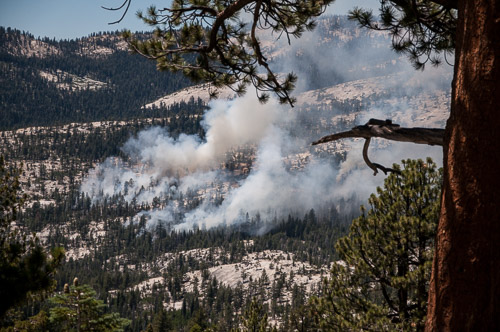 DSC_7352.jpg DSC_7352.jpg