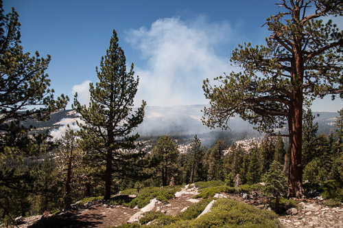 DSC_7353.jpg DSC_7353.jpg