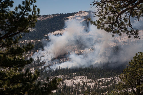 DSC_7354.jpg DSC_7354.jpg