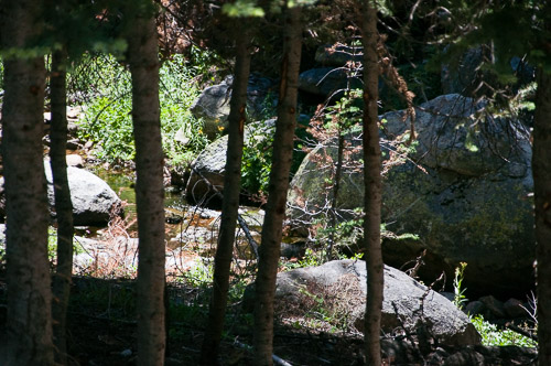 DSC_7355.jpg DSC_7355.jpg