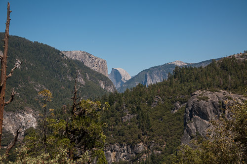 DSC_7359.jpg DSC_7359.jpg