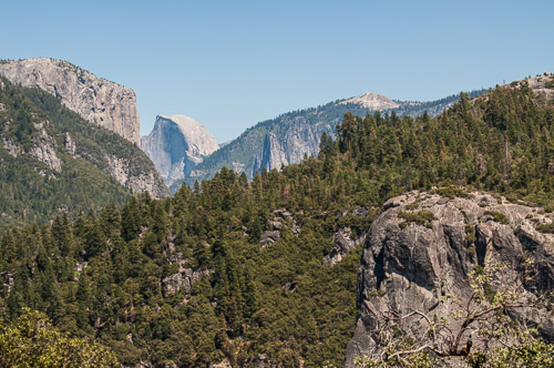 DSC_7364.jpg DSC_7364.jpg