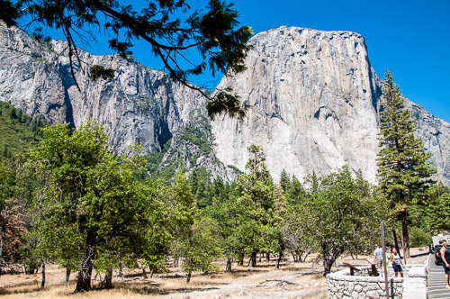 DSC_7376.jpg DSC_7376.jpg