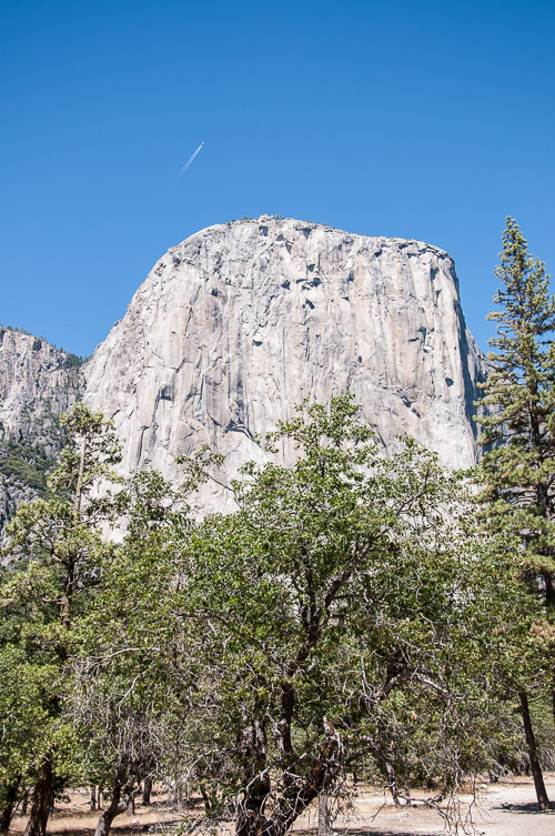 DSC_7384.jpg DSC_7384.jpg