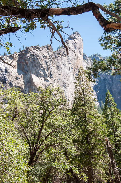 DSC_7390.jpg DSC_7390.jpg