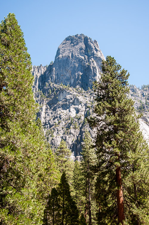 DSC_7393.jpg DSC_7393.jpg