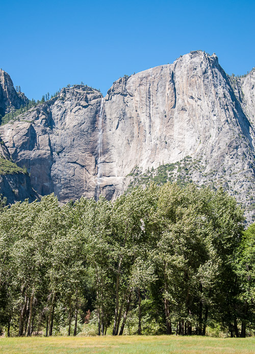 DSC_7395.jpg DSC_7395.jpg