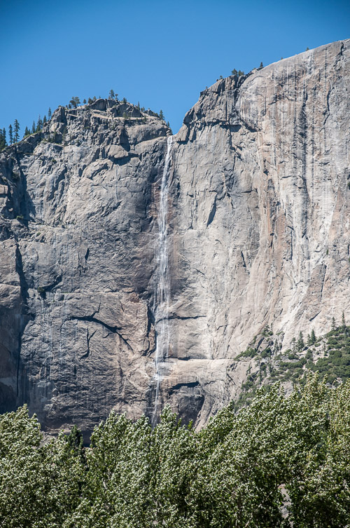 DSC_7396.jpg DSC_7396.jpg