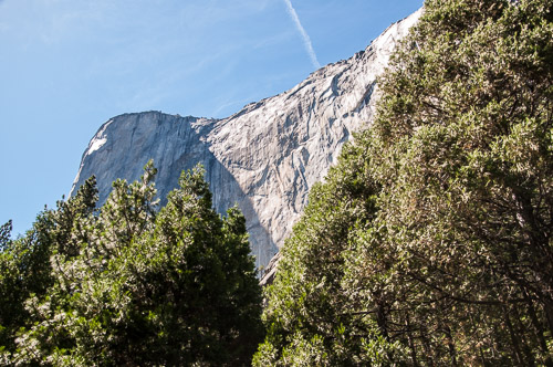 DSC_7438.jpg DSC_7438.jpg