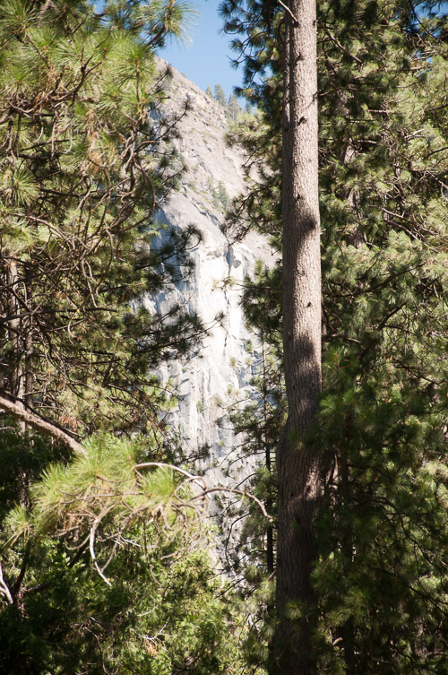 DSC_7443.jpg DSC_7443.jpg