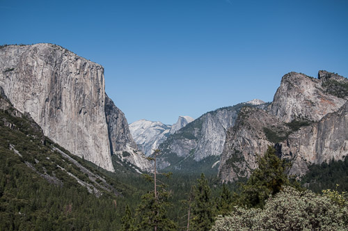 DSC_7445.jpg DSC_7445.jpg