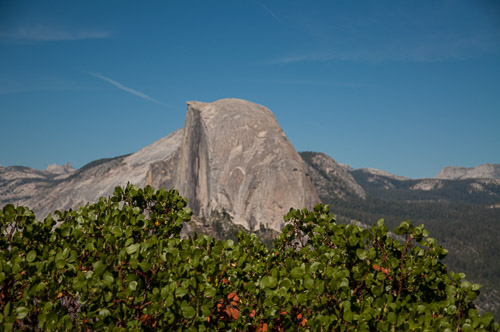 DSC_7455.jpg DSC_7455.jpg