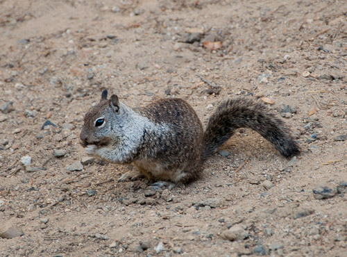 DSC_7458.jpg DSC_7458.jpg