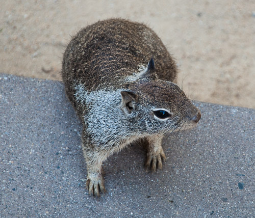 DSC_7465.jpg DSC_7465.jpg