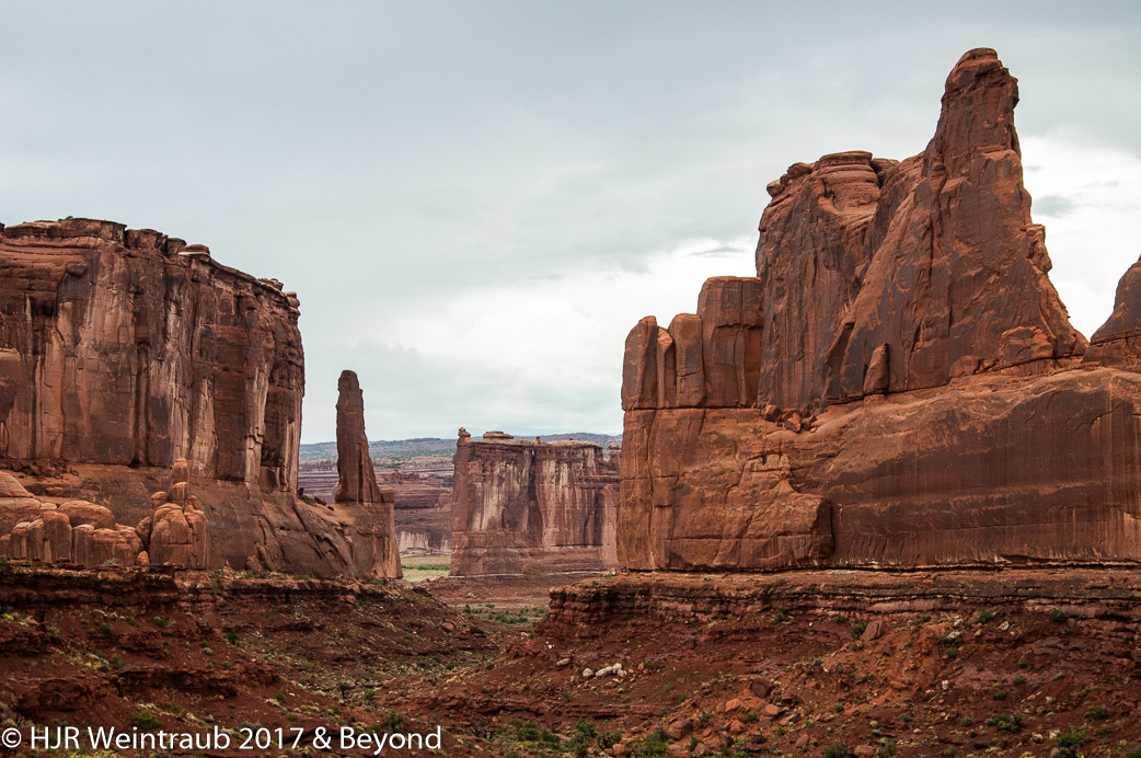 DSC_8639.jpg