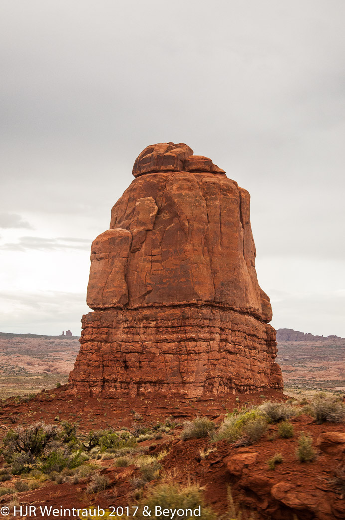 DSC_8643.jpg