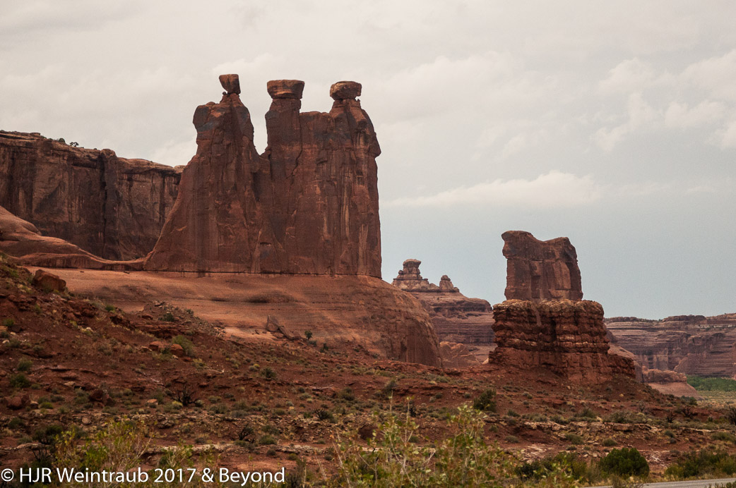 DSC_8645.jpg