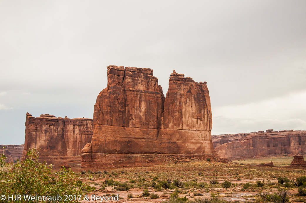 DSC_8647.jpg