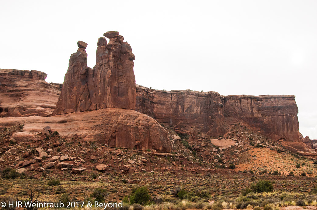 DSC_8649.jpg