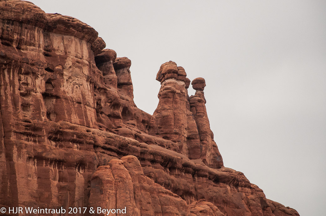 DSC_8653.jpg