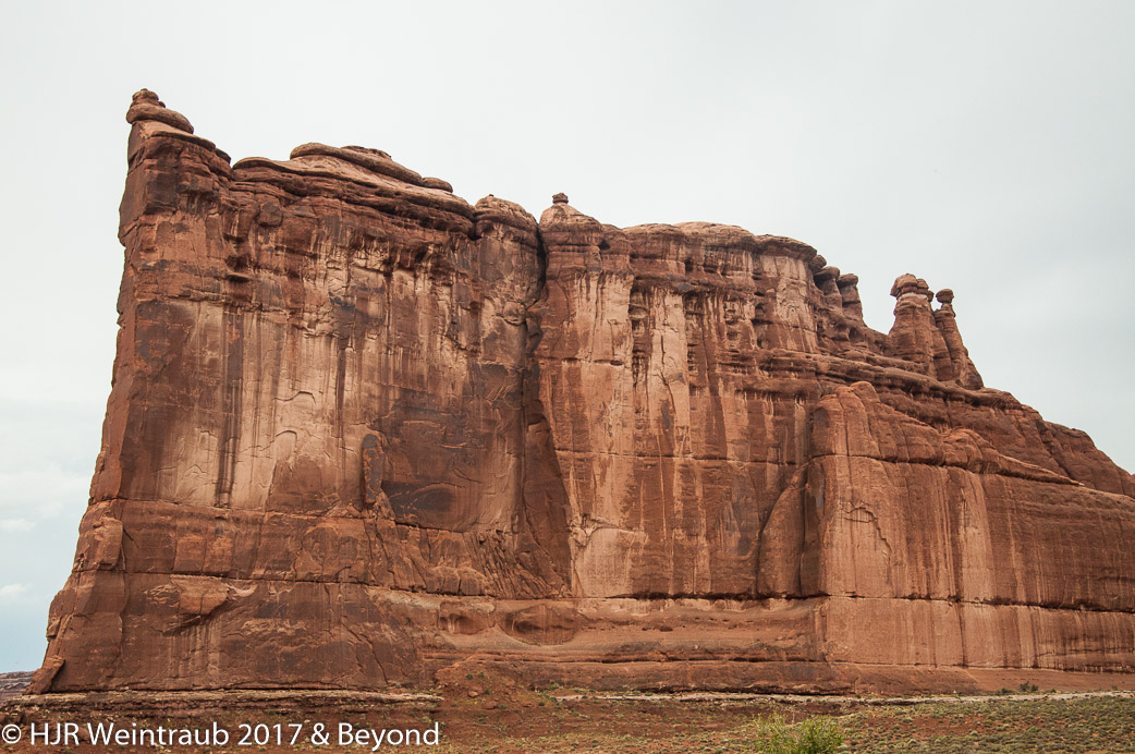 DSC_8654.jpg