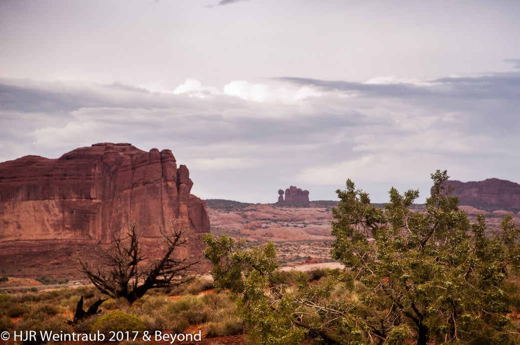 DSC_8655.jpg