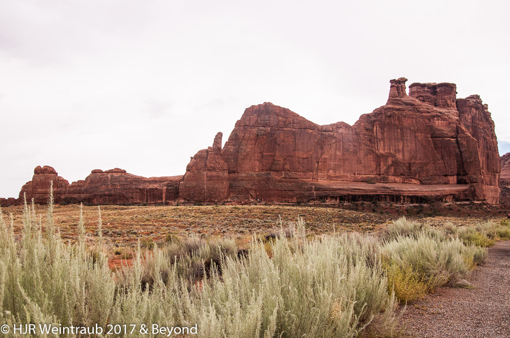 DSC_8659.jpg