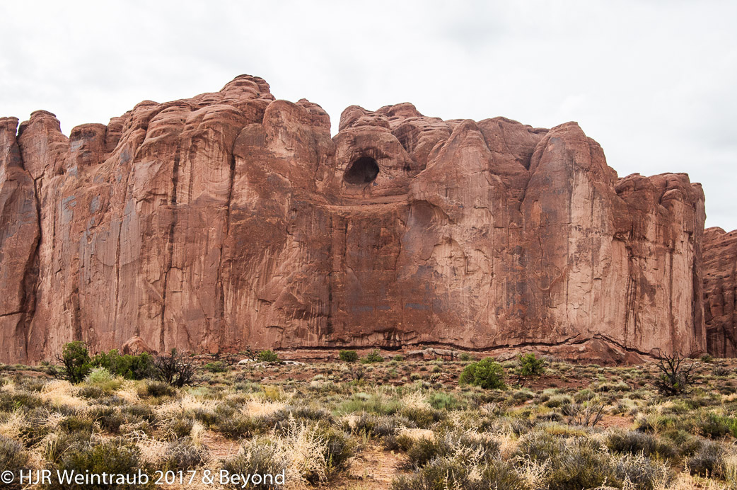 DSC_8663.jpg
