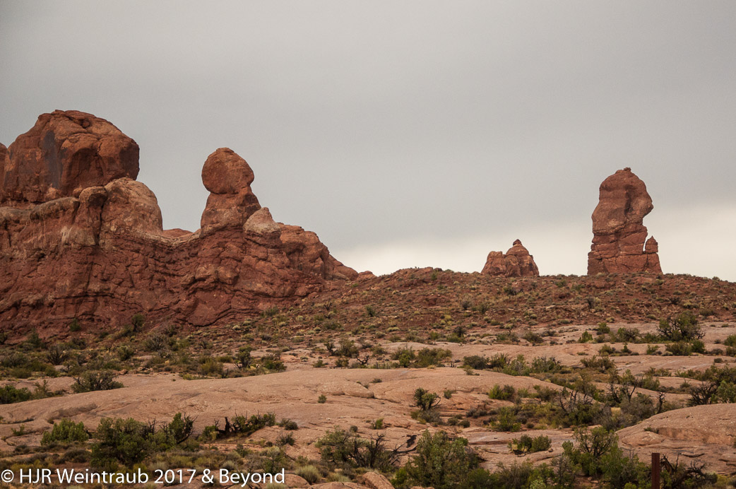 DSC_8667.jpg