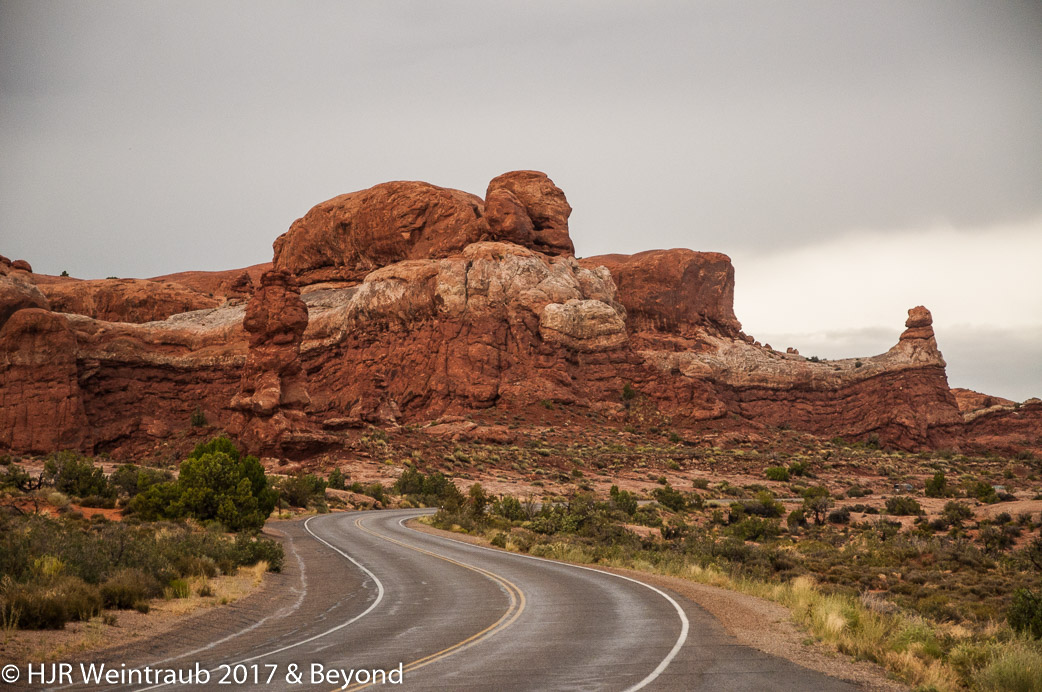 DSC_8681.jpg