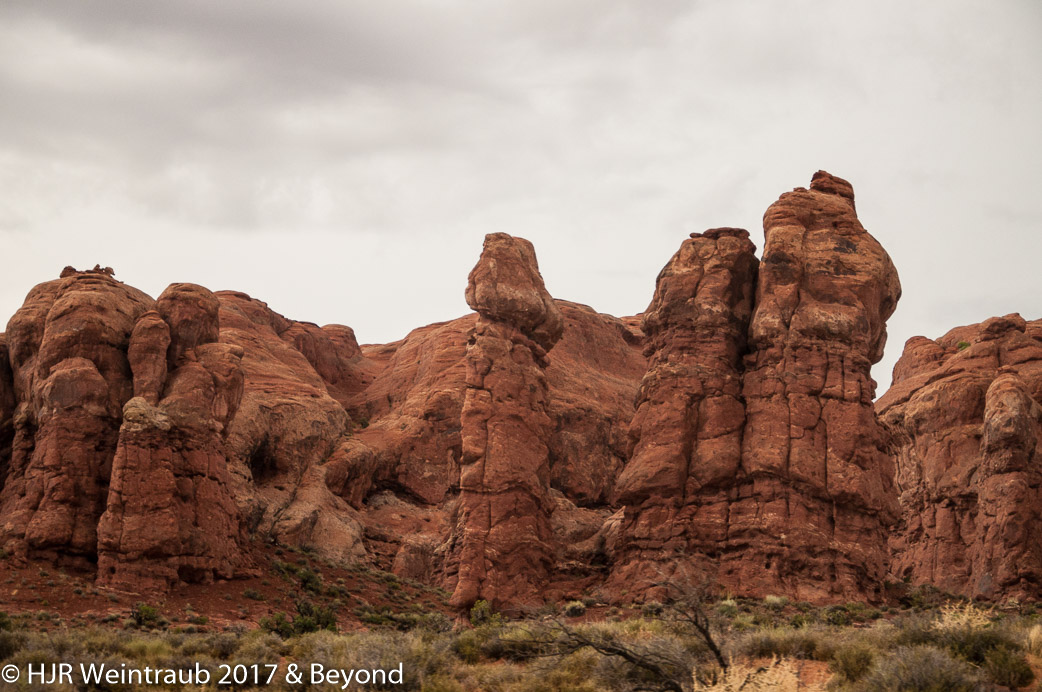 DSC_8683.jpg