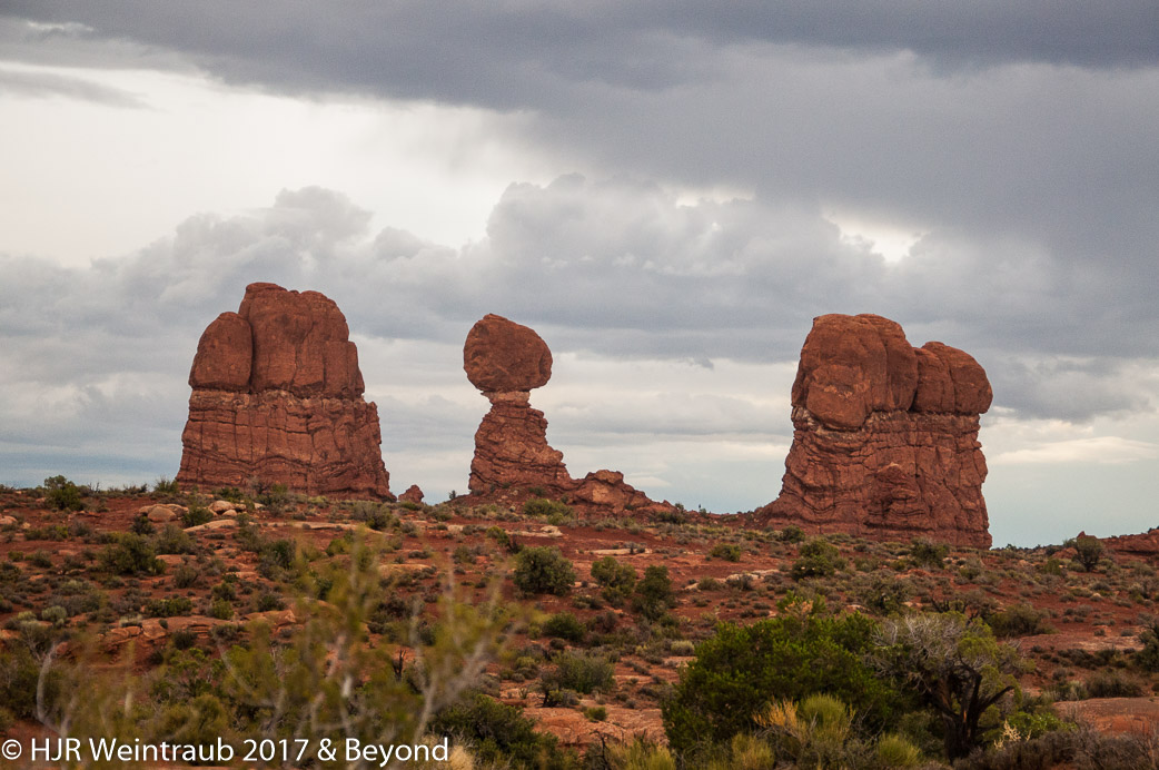 DSC_8685.jpg