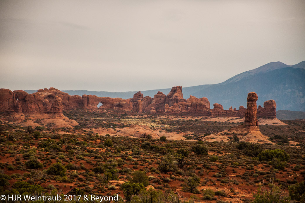 DSC_8686.jpg