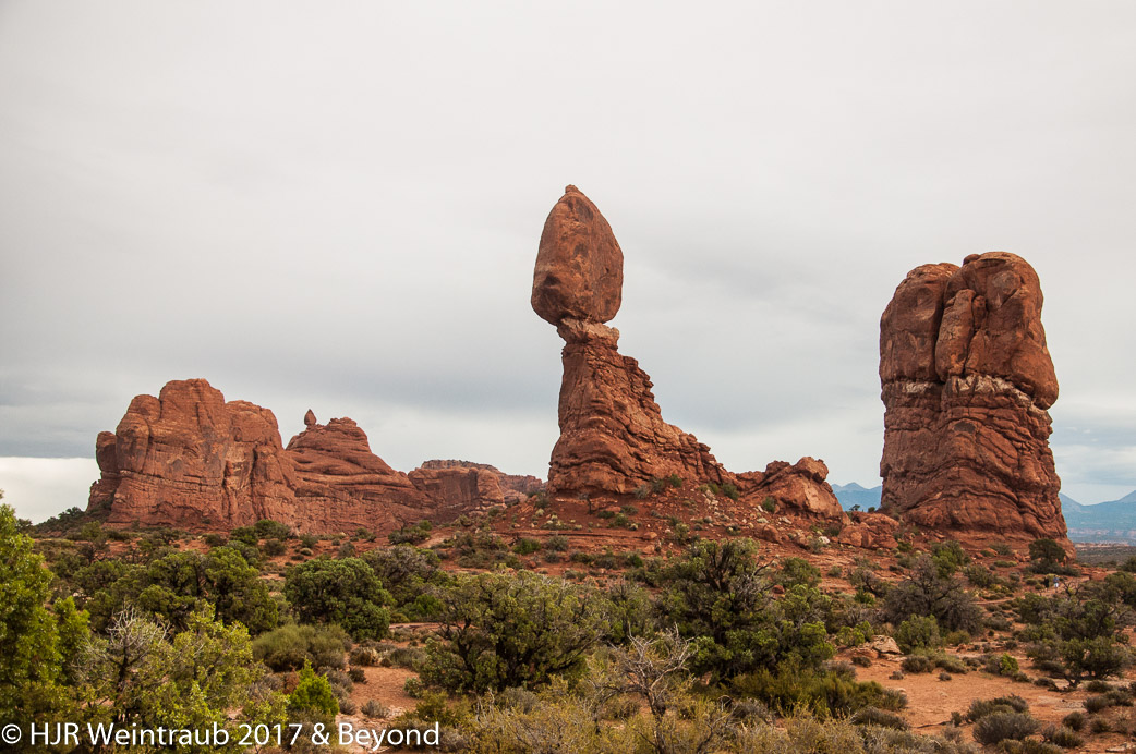 DSC_8690.jpg