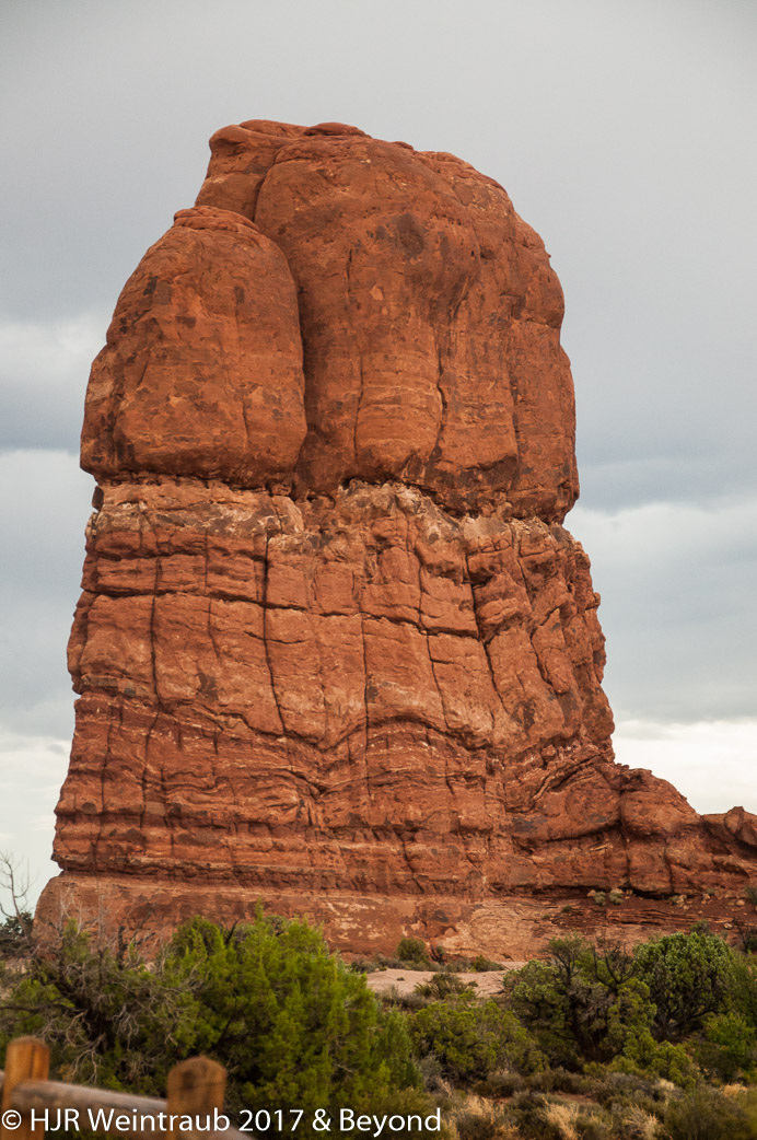 DSC_8692.jpg