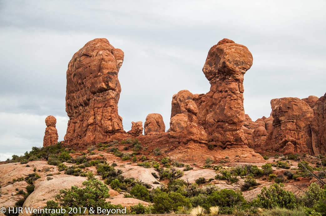 DSC_8696.jpg