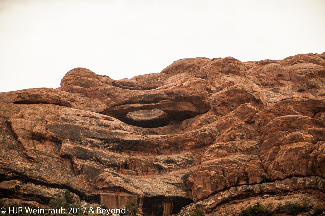 DSC_8706.jpg