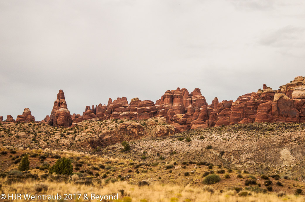 DSC_8711.jpg