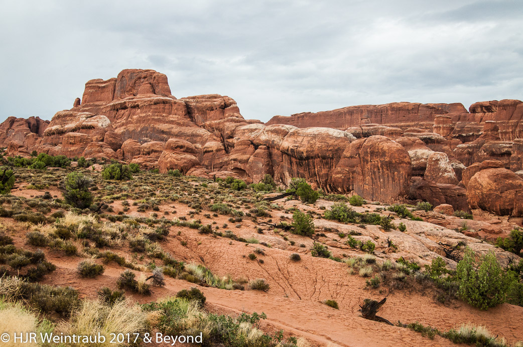 DSC_8725.jpg
