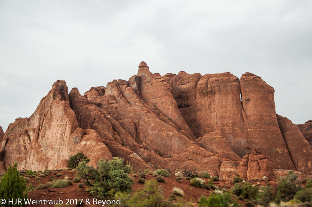 DSC_8733.jpg